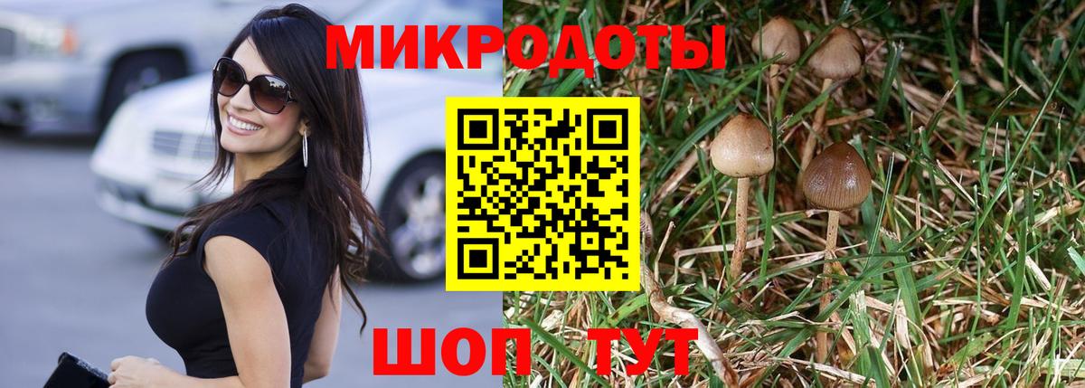 Зеленодольск  Псилоцибиновые грибы ЛСД  Вход с VPN  Псилоцибиновые грибы мицелий 